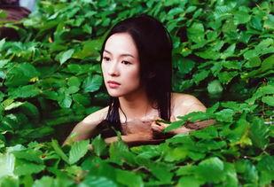 宫崎爱莉中出无码
