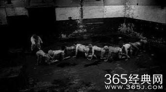 人体蜈蚣3在线免费观看,惊悚悬疑，免费在线观看，揭秘人体极限