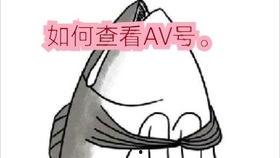 日本肛交magnet,肛交Magnet背后的隐秘世界