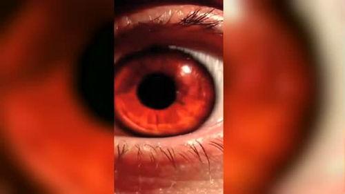 写轮眼视频,探寻神秘忍术背后的奥秘